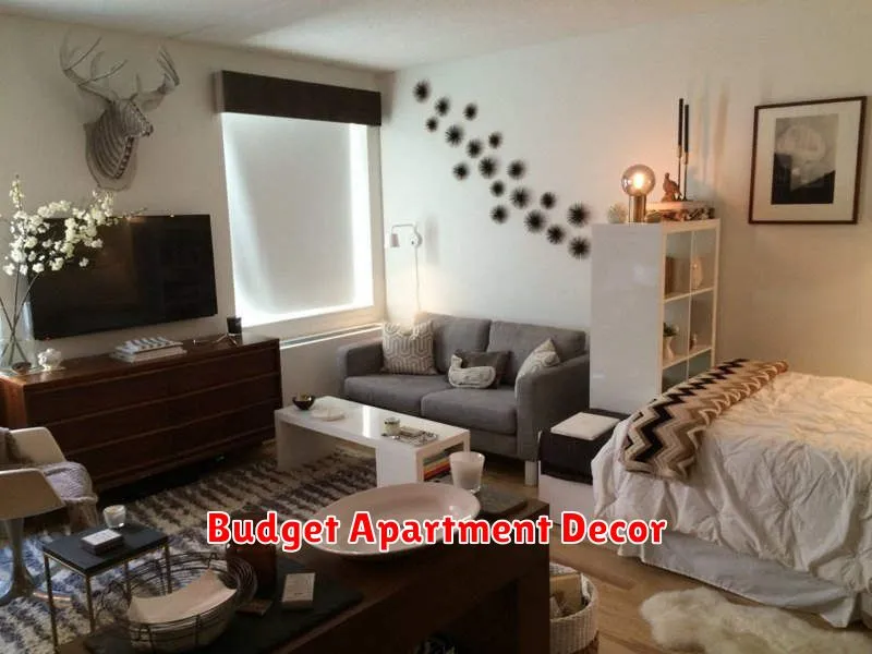 Budget Apartment Decor