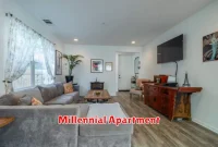 Millennial Apartment