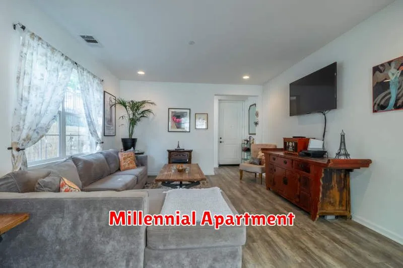 Millennial Apartment