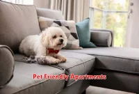 Pet Friendly Apartments