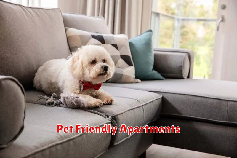 Pet Friendly Apartments