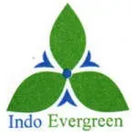 PT Indo Evergreen company icon