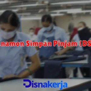 Danamon Simpan Pinjam (DSP)